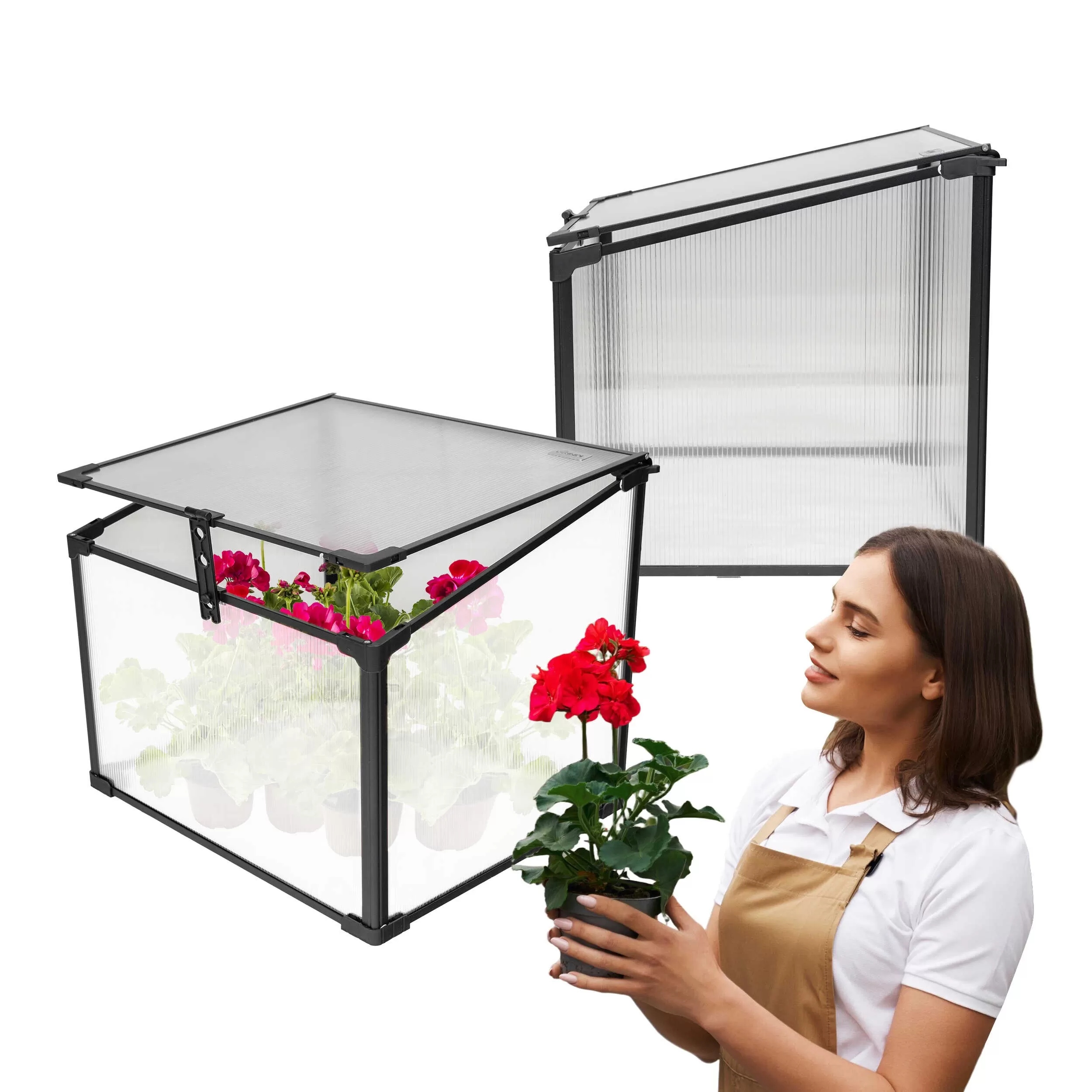 Mini Skleník 60 CM Pařeniště Rozsadník 1 Komora Černá Magnolie I