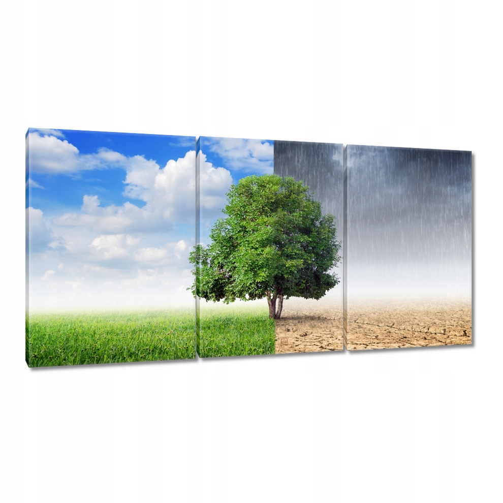 

Obrazy 120x60 Pora deszczowa