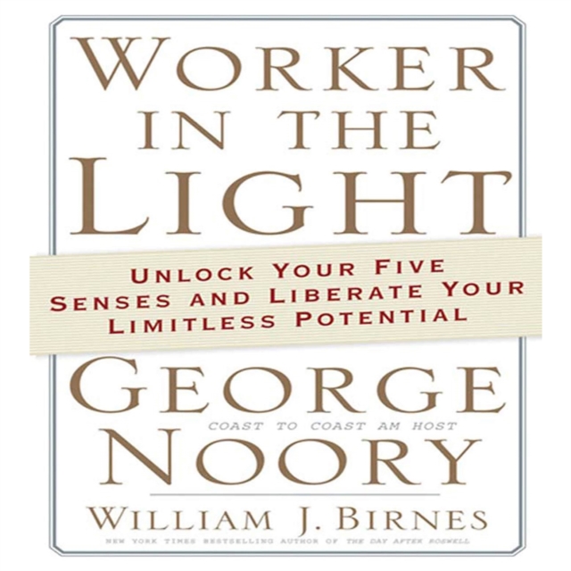 Worker in the Light - Noory, George AUDIOBOOK