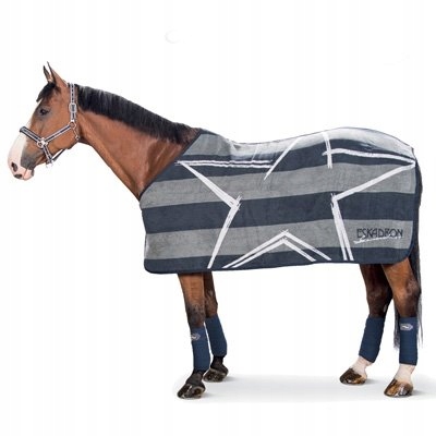 Derka dralon Eskadron Next Generation Star jesień/zima 2014 navy grey 135