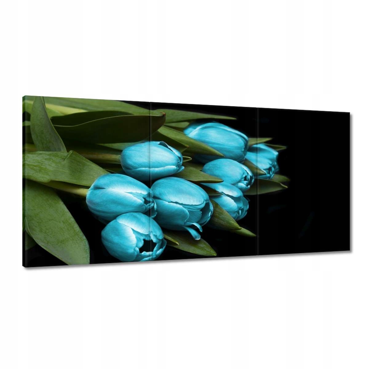 Obrazy 180x90 Tyrkysové tulipány Květina