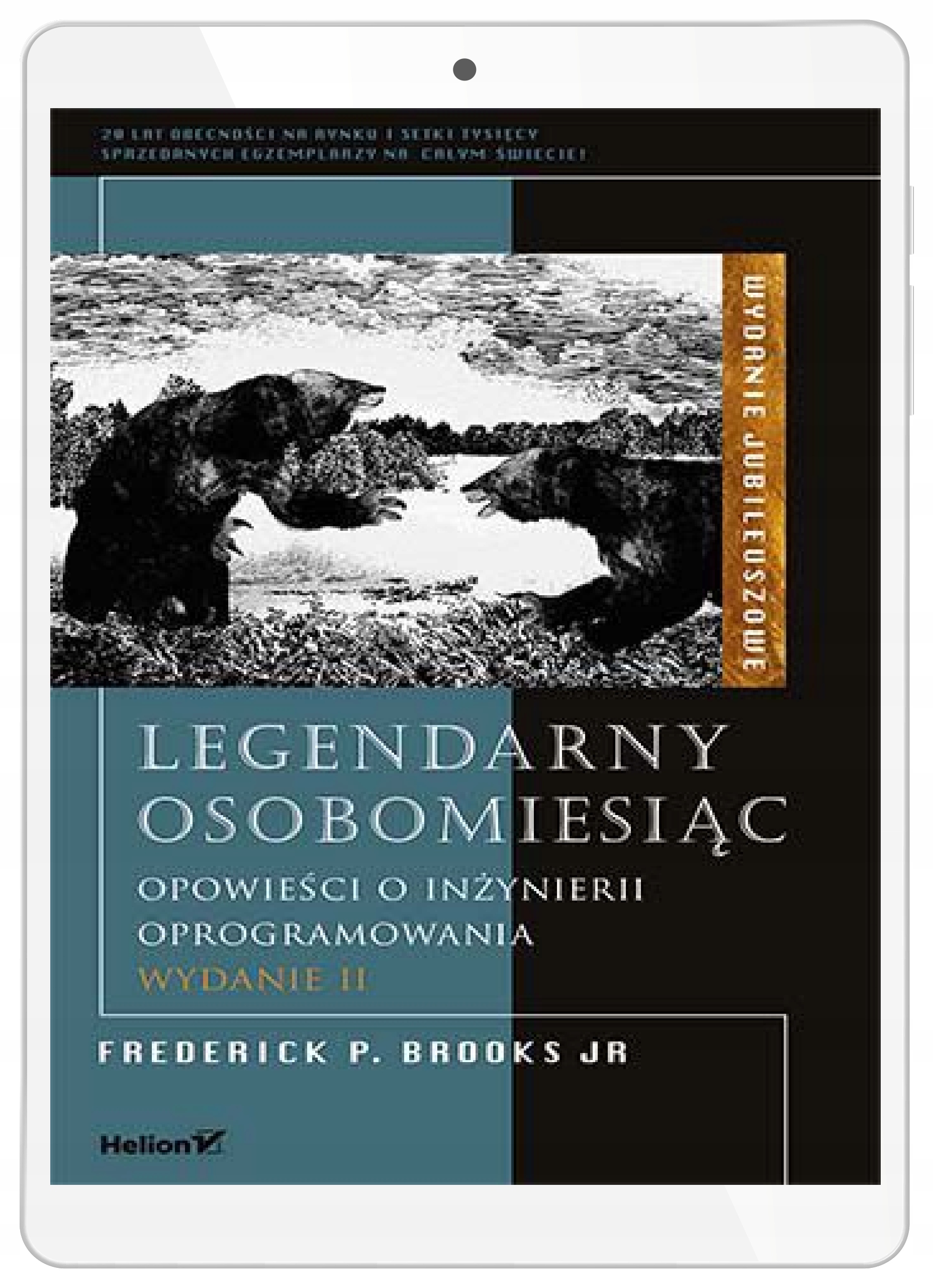 Legendarny osobomiesiąc. Opowieści o inżynierii
