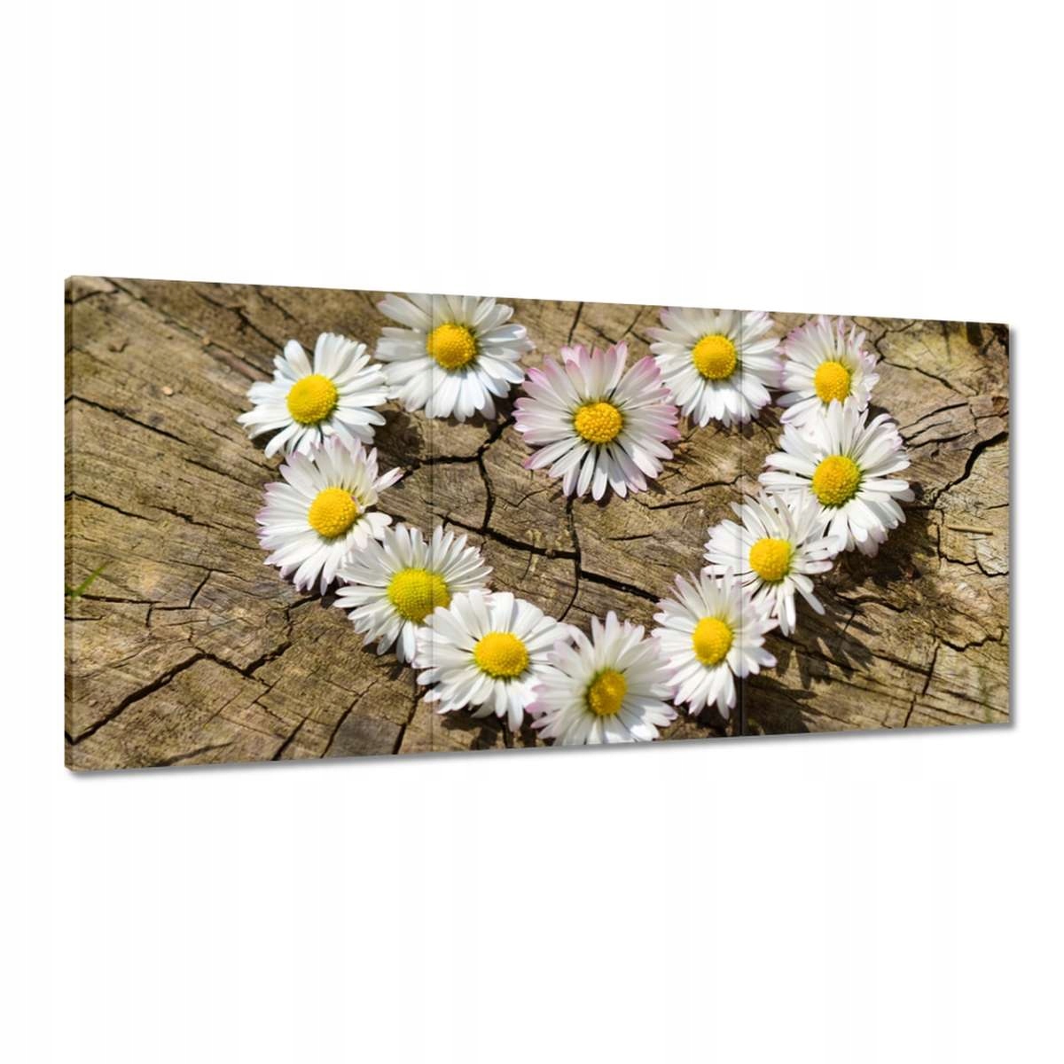 Obrazy 180x90 Rumančekové srdce