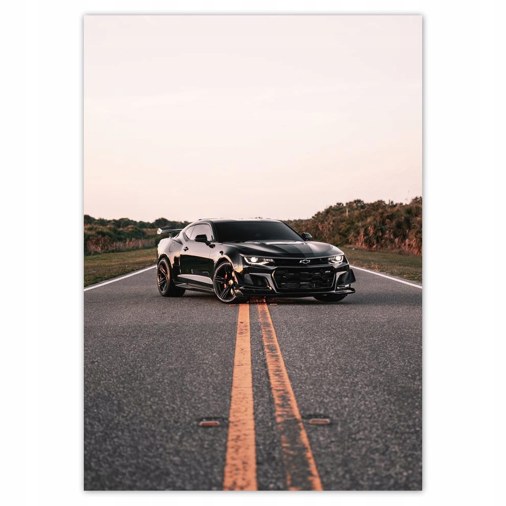 

Naklejki 50x70 Auto Samochód Fura Sport