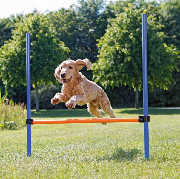 

Stacjonata tor przeszkód płotek psa agility Trixie