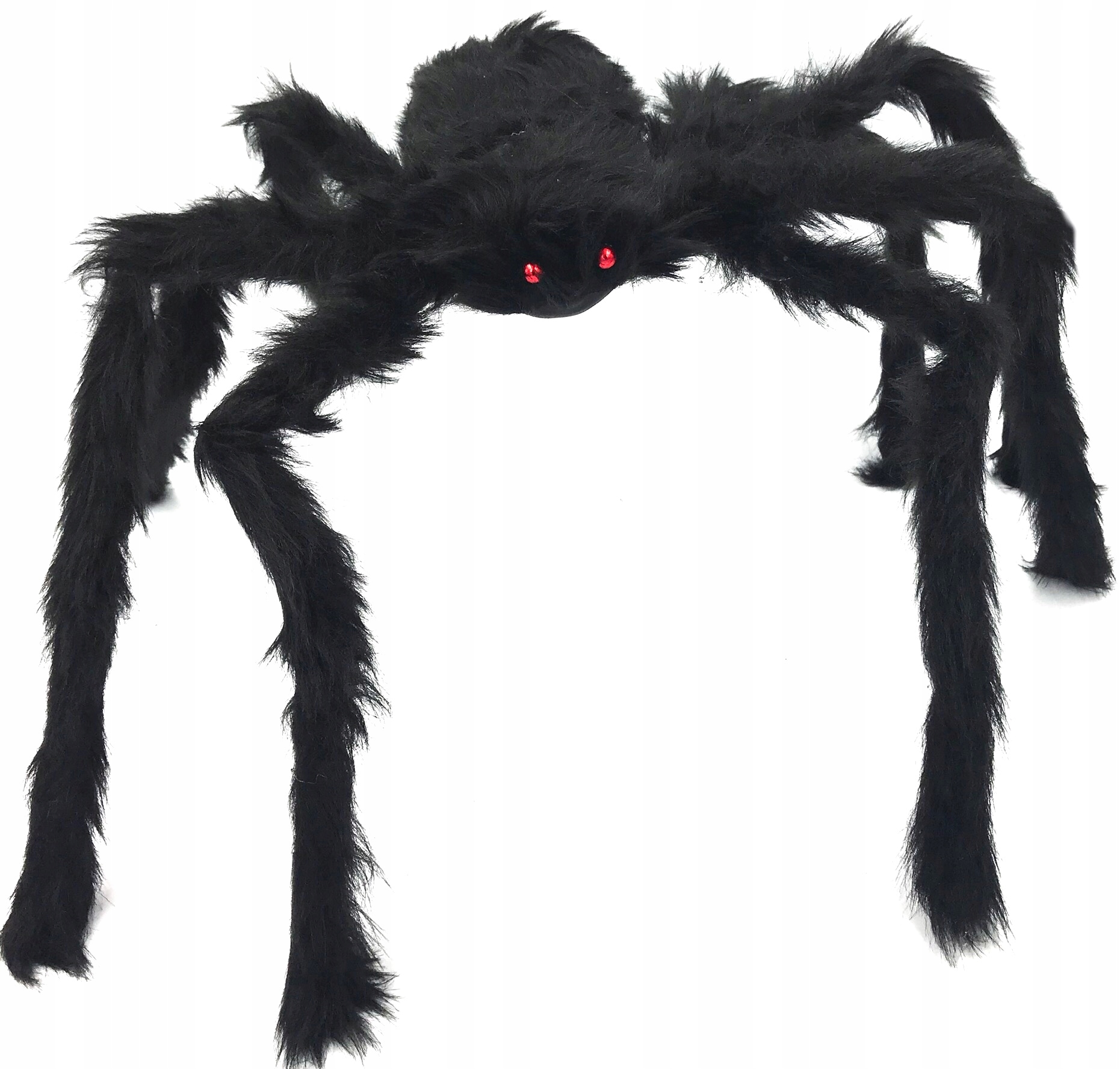 

Duży Włochaty Pająk Tarantula Halloween Straszny