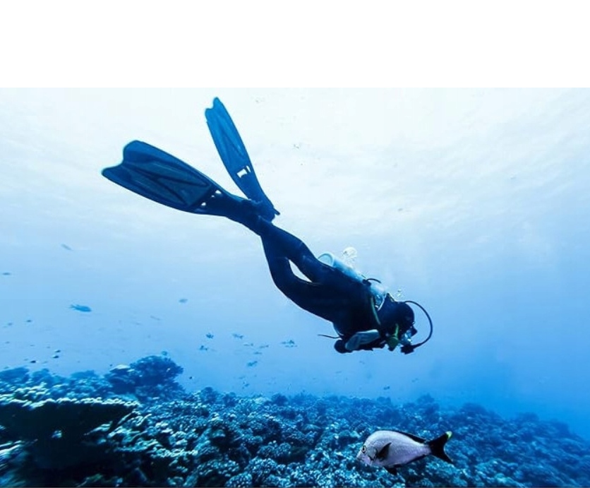 Buty UDCM14 roz. 40/41czarny Model UDCM14