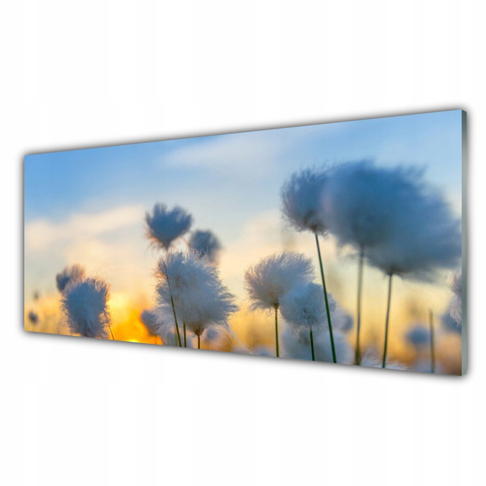 

Obraz akryl z grafiką 125x50 Kwiaty Roślina Natura