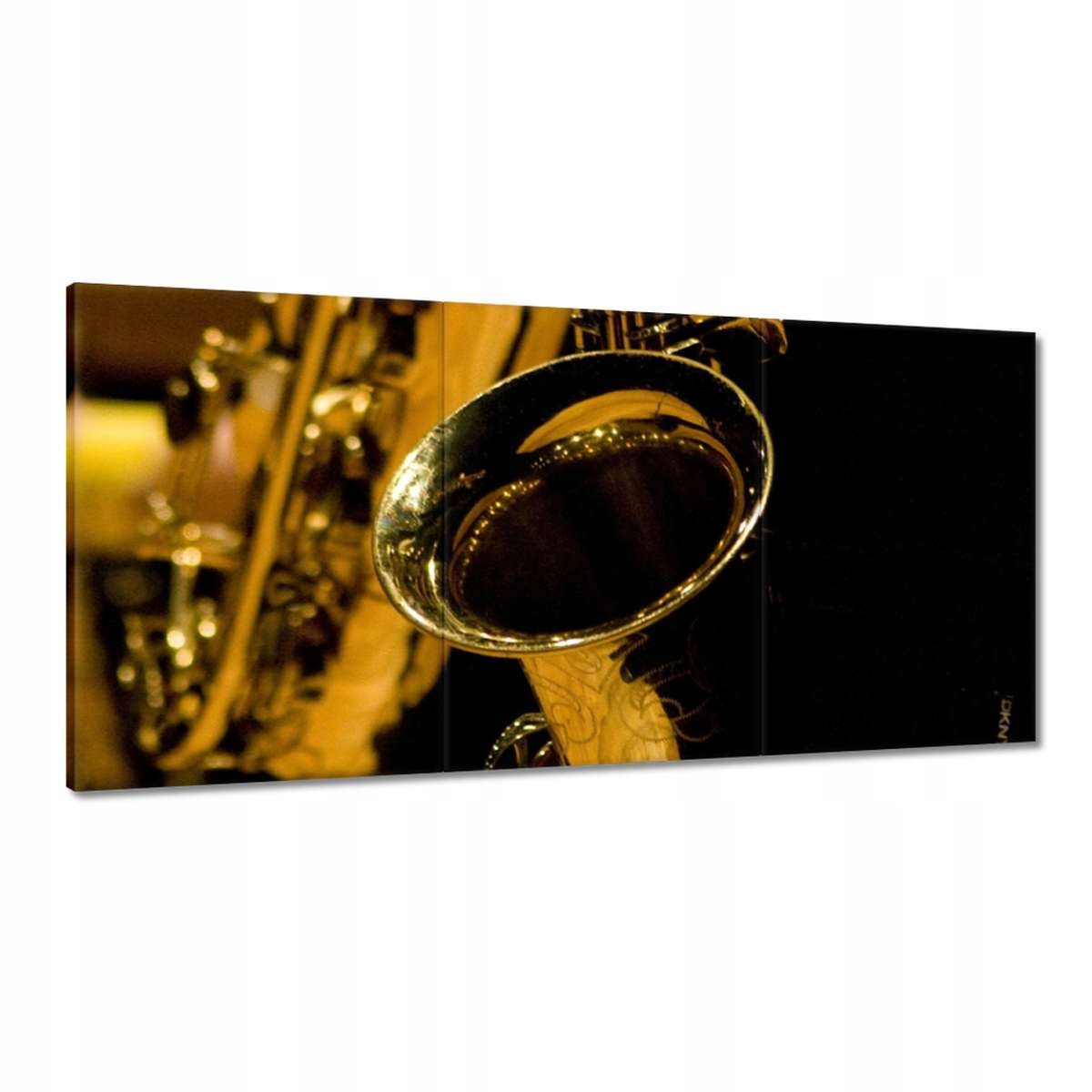 Obrazy 180x90 Saxofón