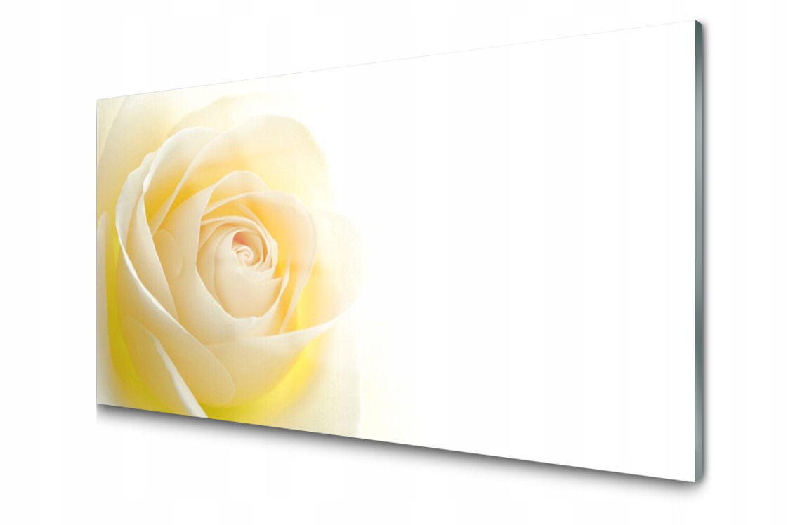

Panel szklany Płytka Róża Kwiat Roślina 120x60