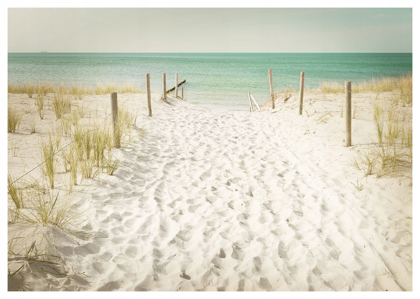 Fototapeta Pláž relax stopy písek léto ticho odpočinek 254x184 lepidlo