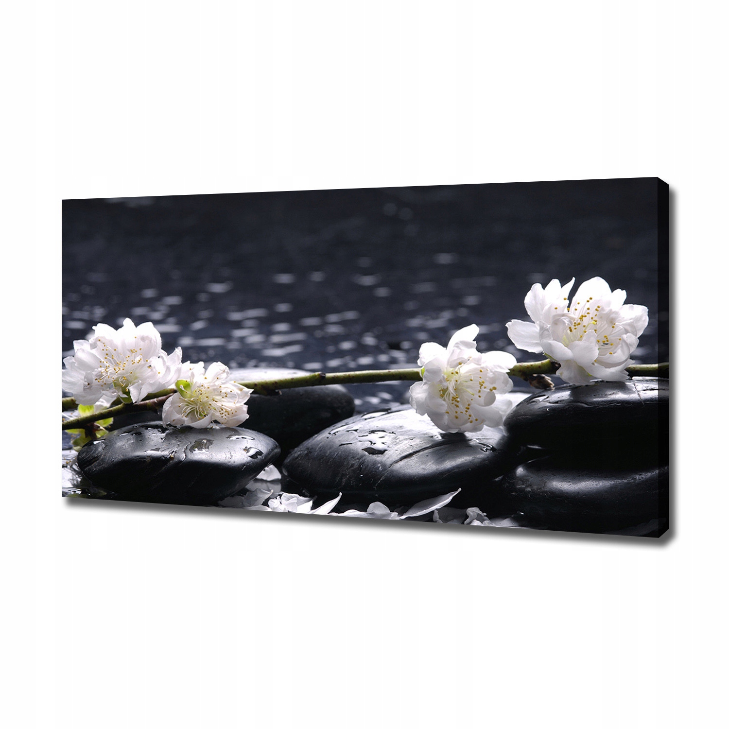 

Foto obraz canvas na ścianę Kwiat wiśni 120x60 cm