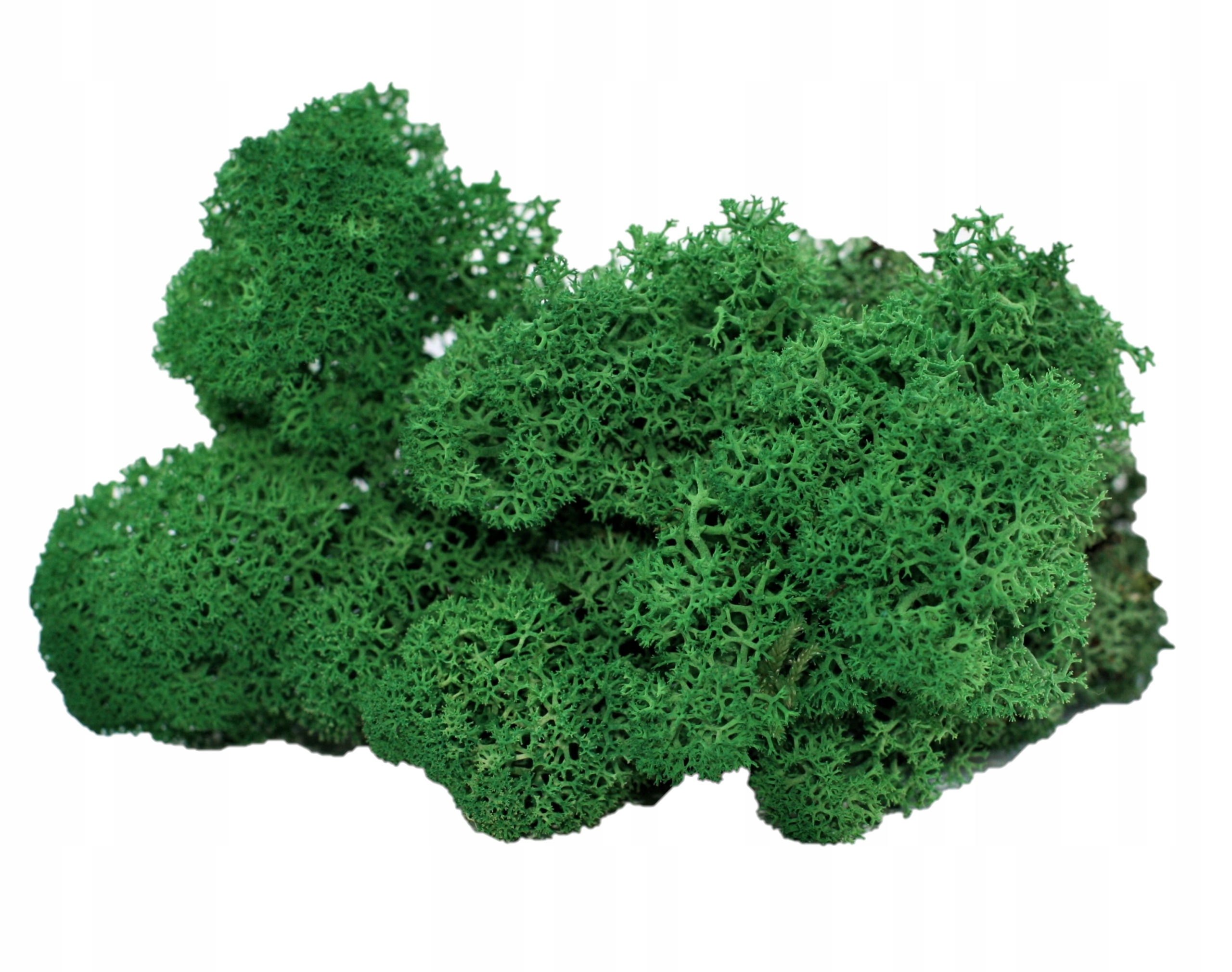 Mech Chrobotek 100g Green Grass Ciemna zieleń