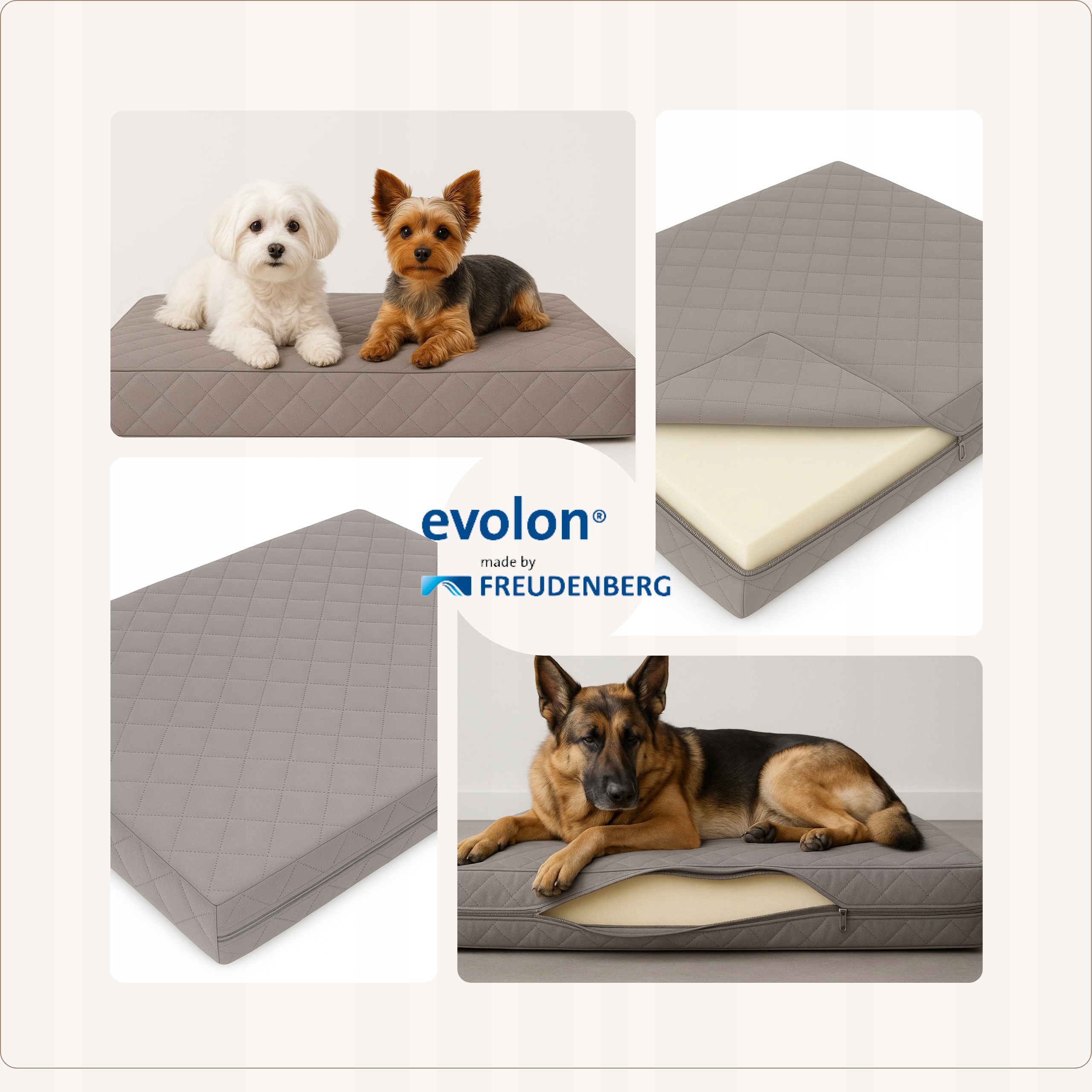 Levně Protiroztočové Pelíšek Pro Psa Ortopedické 90X60X7 Evolon