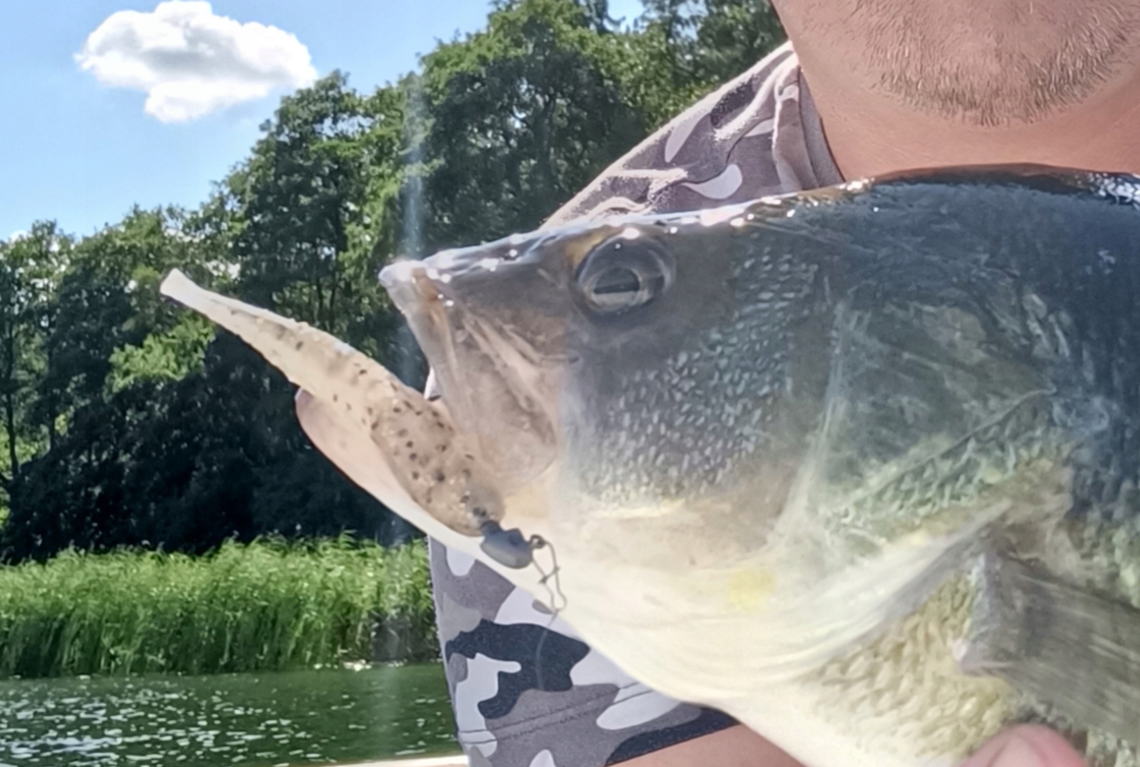 SEWRO SNAKE 7 color 06 RÓŻOWY Waga 3 g