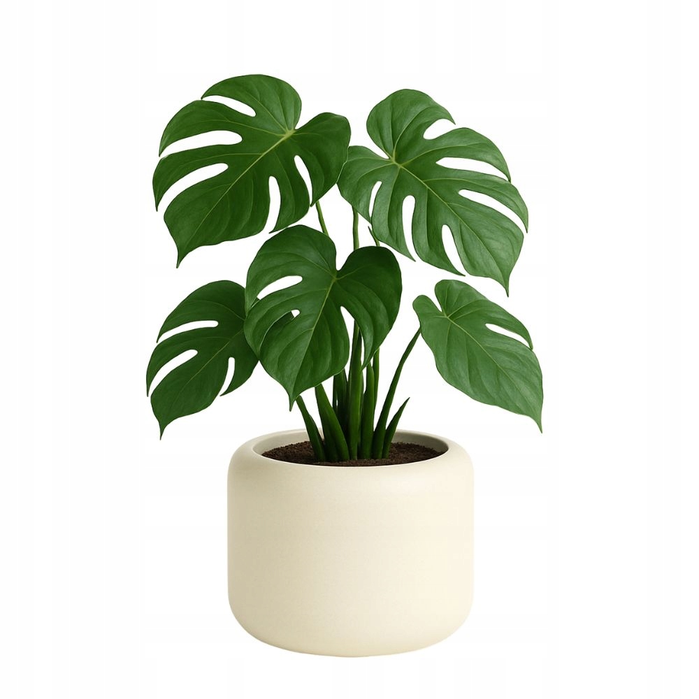 Donica okrągła niska Ambiente wys. 30x40 cm kremowa doniczka japandi wkład