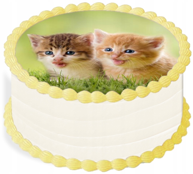 Oplatek na dort Dekorace Jídelní 20 cm Zvířata Kočka Narozeniny