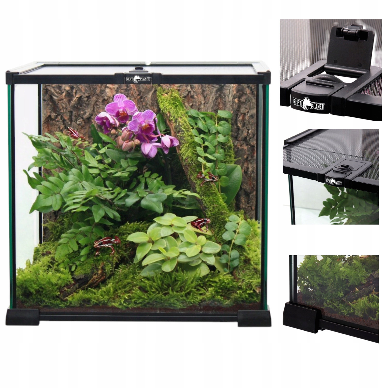 Kompaktowe Terrarium Szklane 20x20x20cm profesjonalny zbiorni