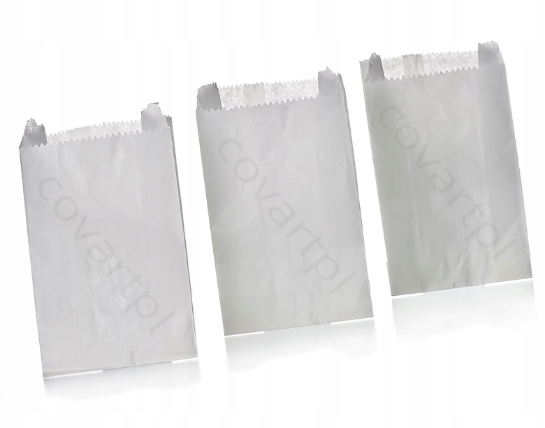 

Torby Torebki Papierowe Fałdowe 100 Szt 21x12x5 B