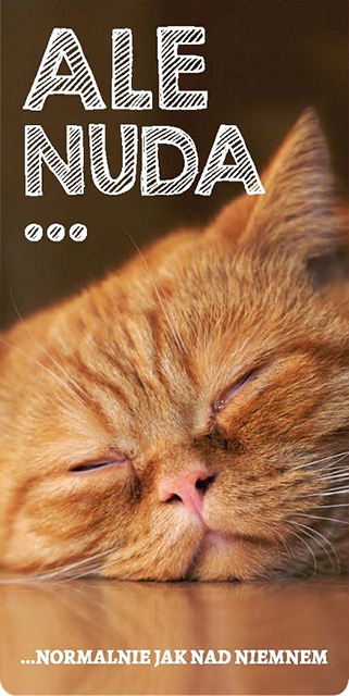 

Zakładka Do Książki Nuda Normalnie Jak Nad Niemnem