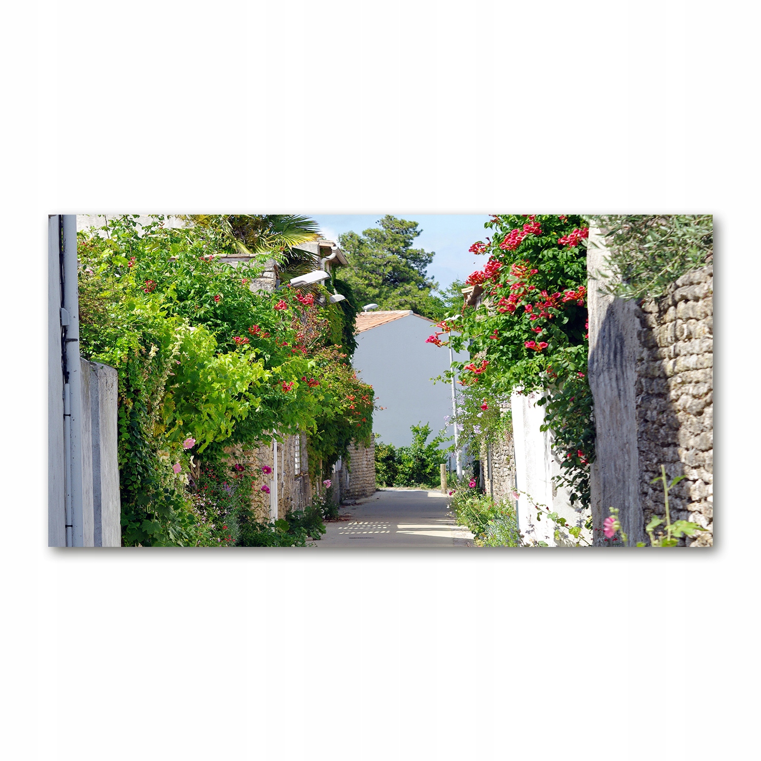 

Foto obraz akryl zdjęcie Kwiecista aleja 120X60 cm