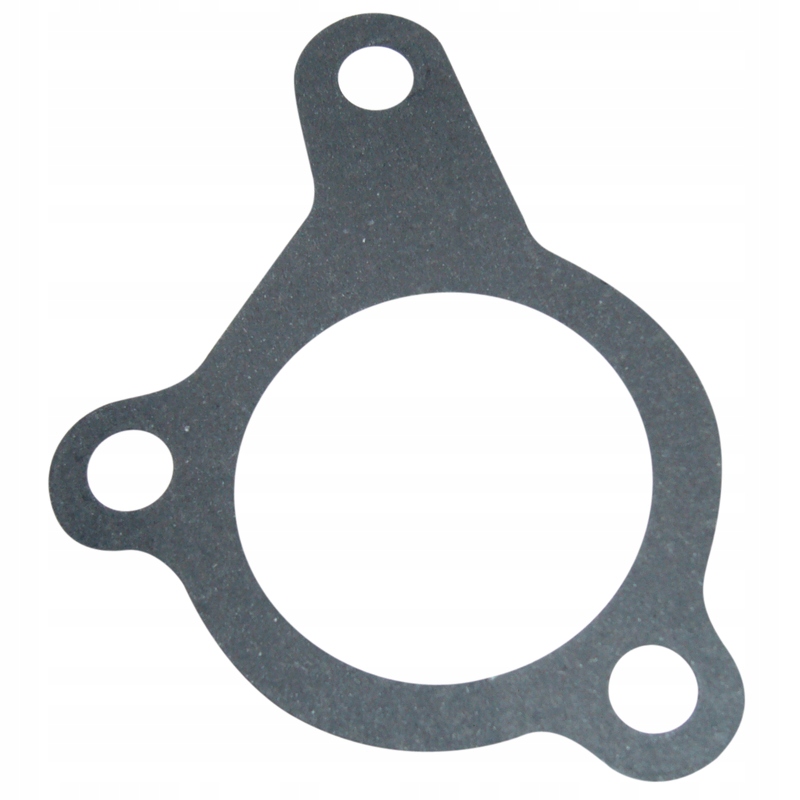 

Uszczelka Wlewu Oleju C-385 80002064