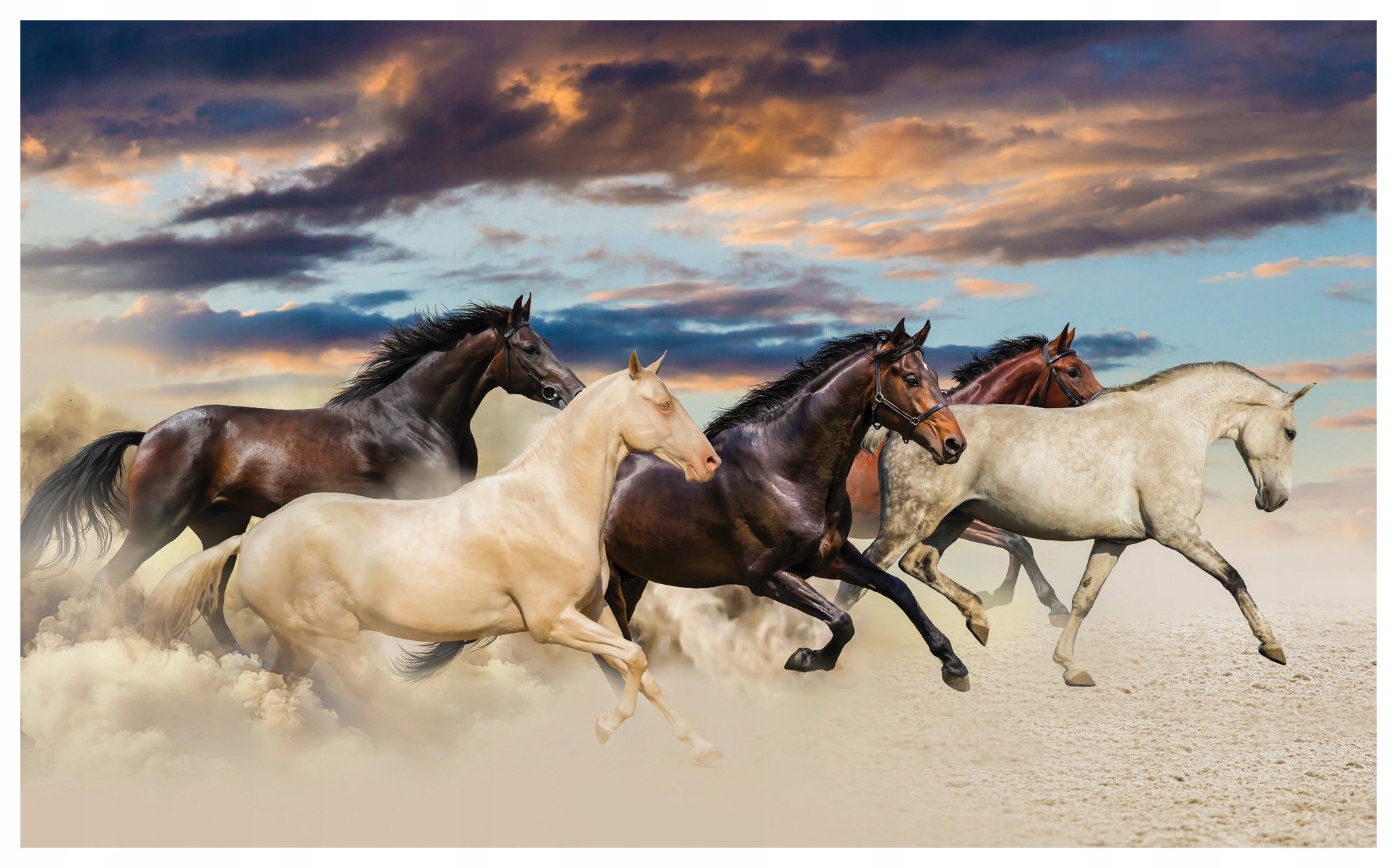 Vliesová fototapeta Koně Výhon a svoboda na zdi 520x318 lepidlo