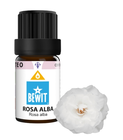 Bewit Ruža biela v Mct oleji 5 ml
