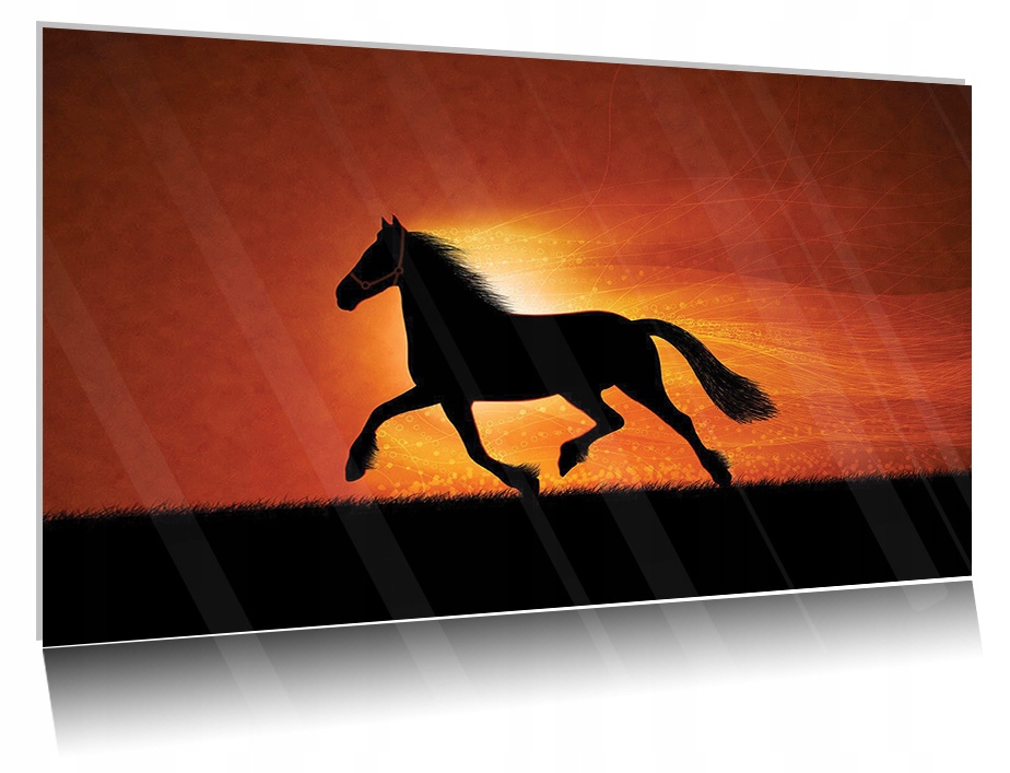 

Obraz szklany na szkle Konie 03 30x20