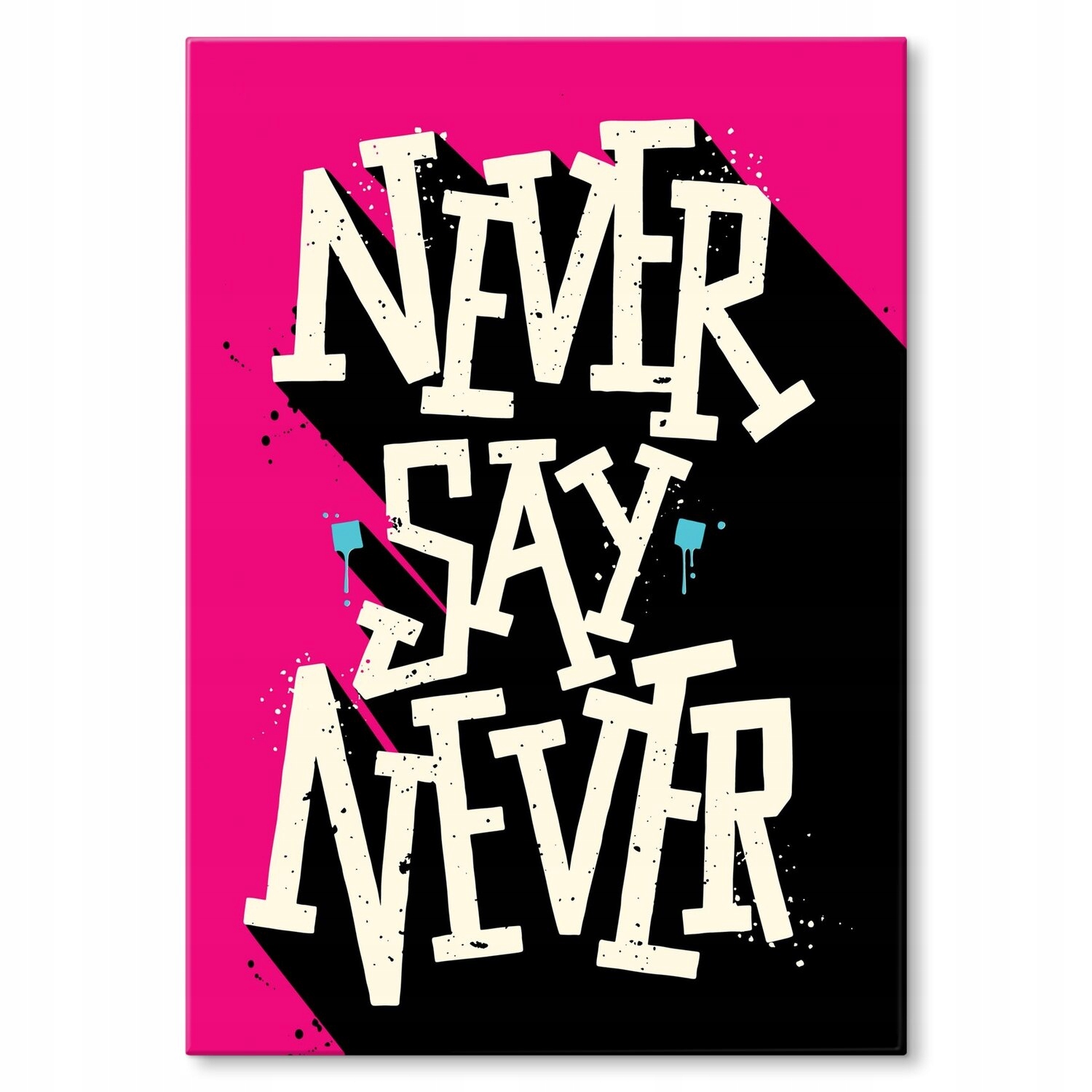 Kovový plakát Nikdy neříkej nikdy Dárek 30 x 42 cm