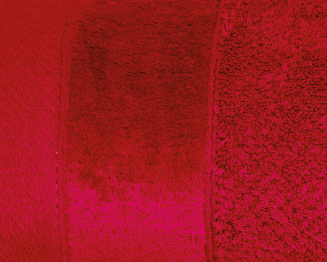 RĘCZNIK ŁAZIENKOWY VITO GRUBY PREMIUM 50x90 Marka Detexpol