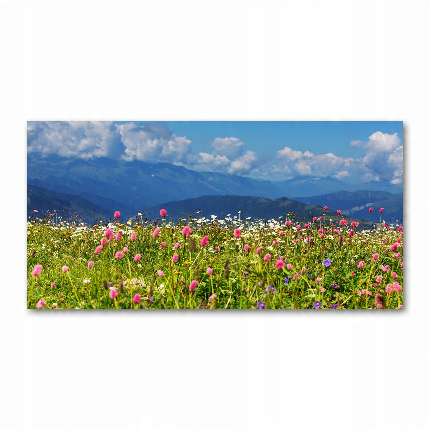 

Foto-obraz akryl Łąka w górach zdjęcie 140x70 cm