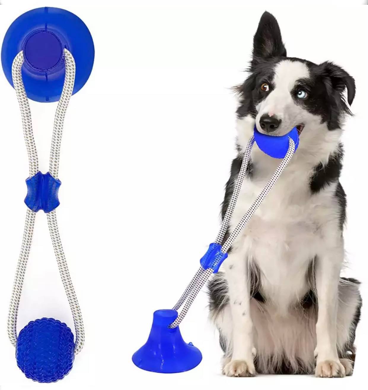 

Zabawka dla psa piłka z przyssawką interaktywna