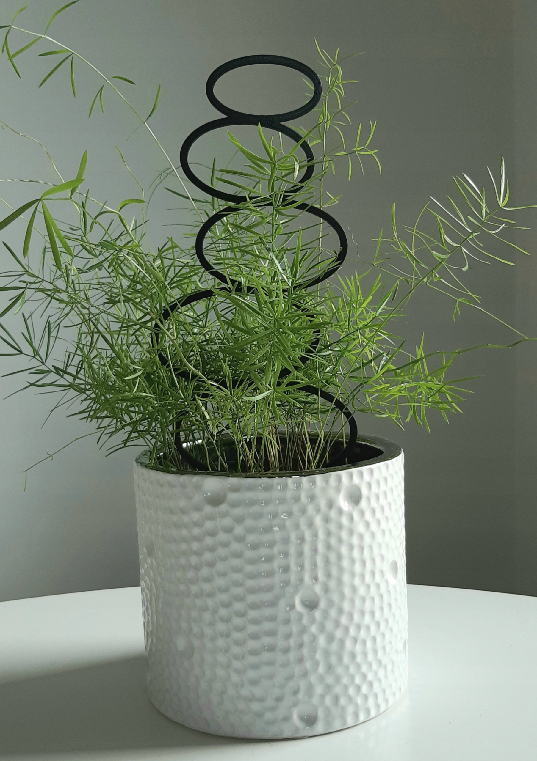 PODPÓRKA KWIATÓW ROŚLIN PERGOLA DRABINKA OWAL 21CM Rodzaj drabinka