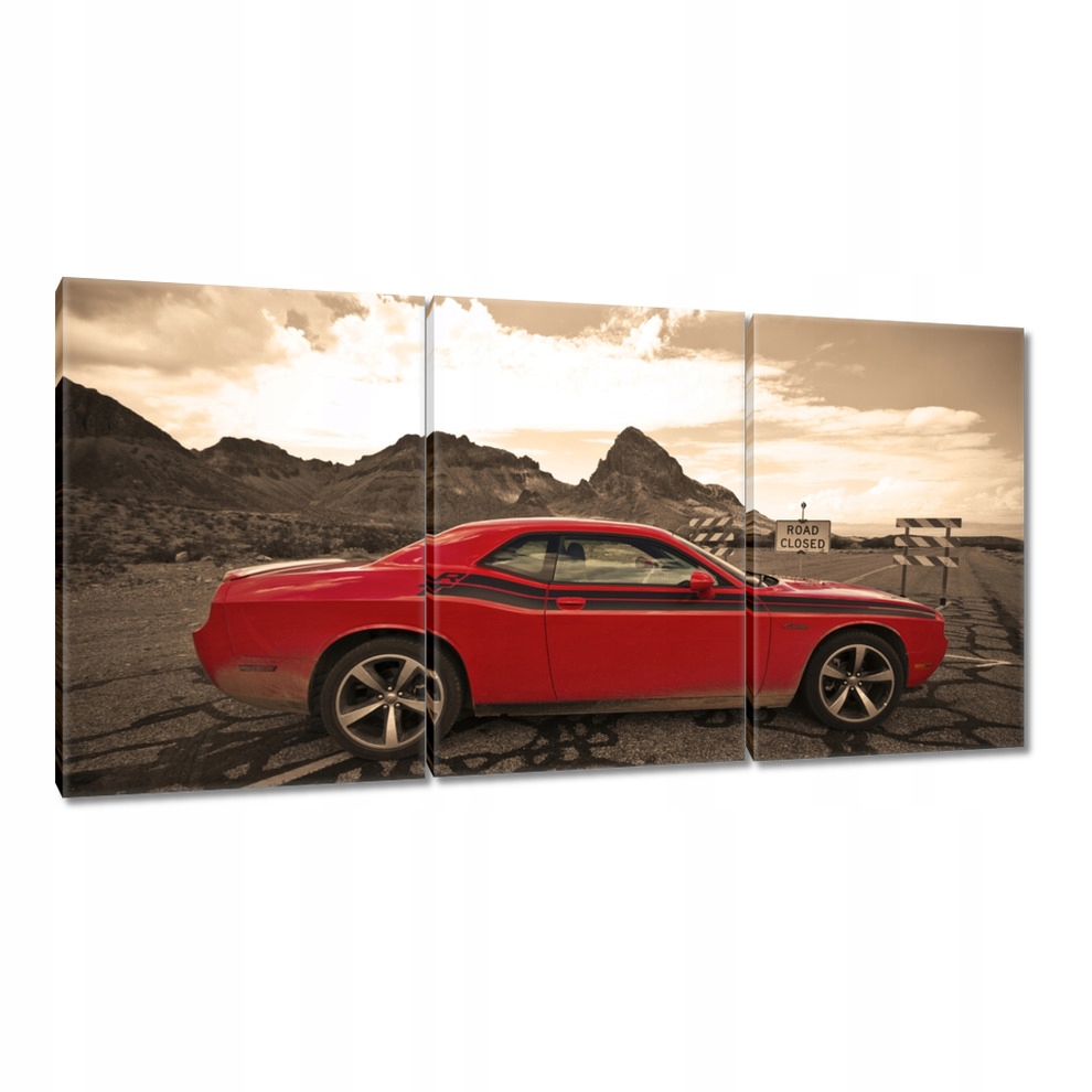 

Obrazy 240x120 Dodge Challenger Rt