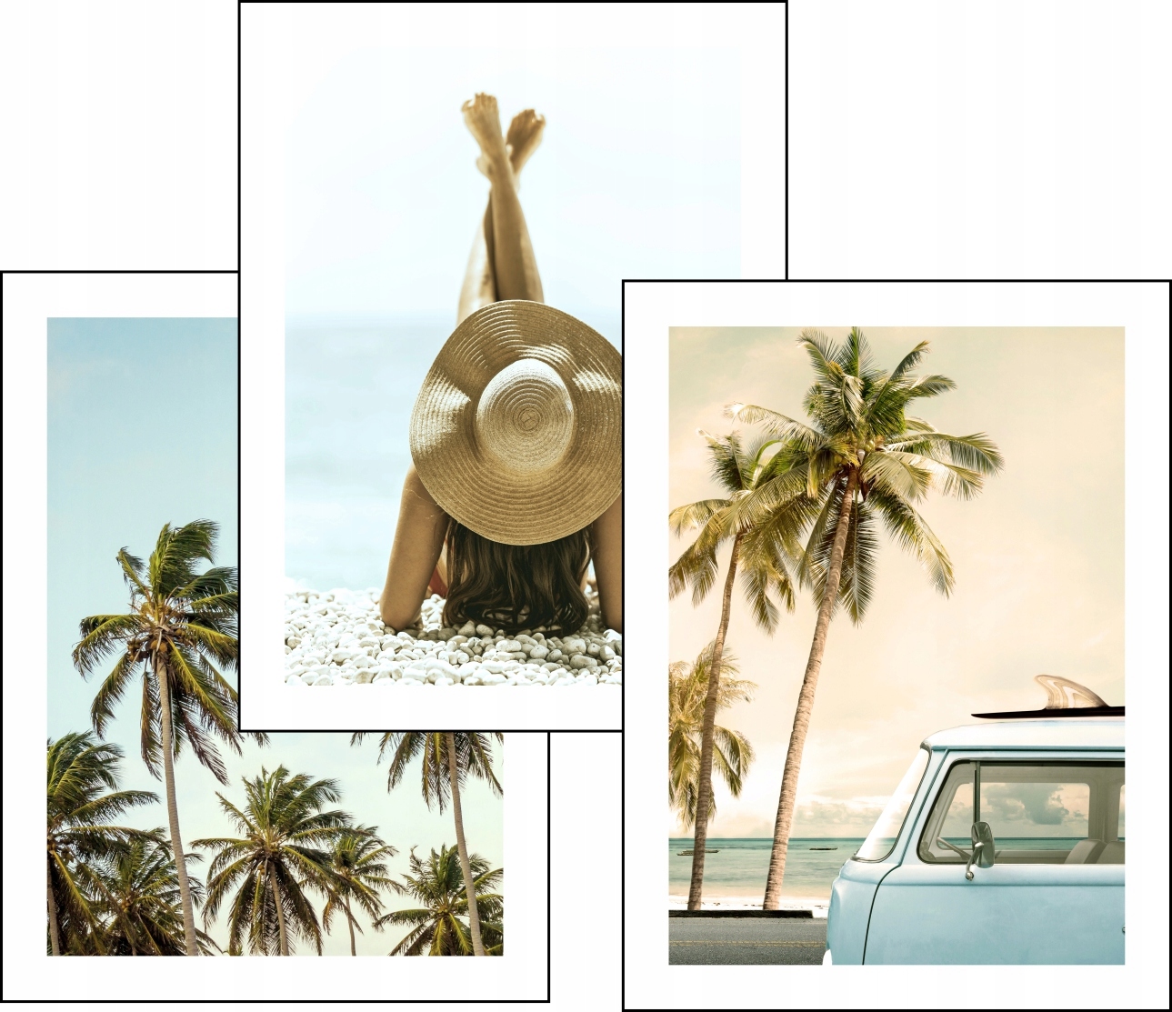 

Palmy Morze zestaw 3 plakaty 30x40 obraz #123