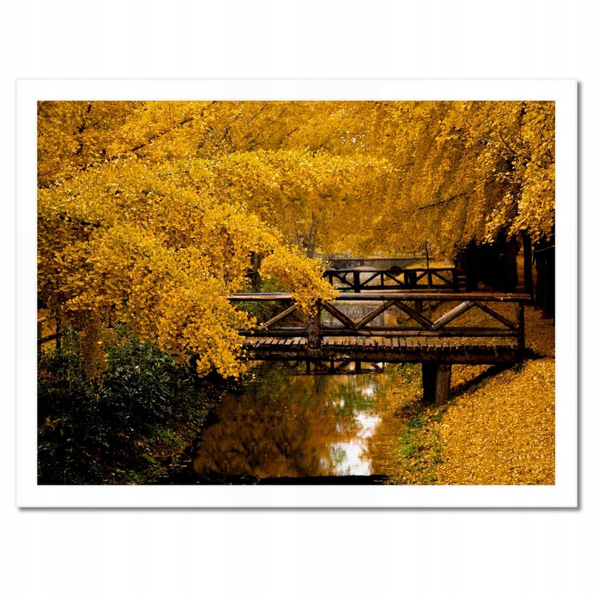 Plakáty v rámu 40x30 Krajina Pohled
