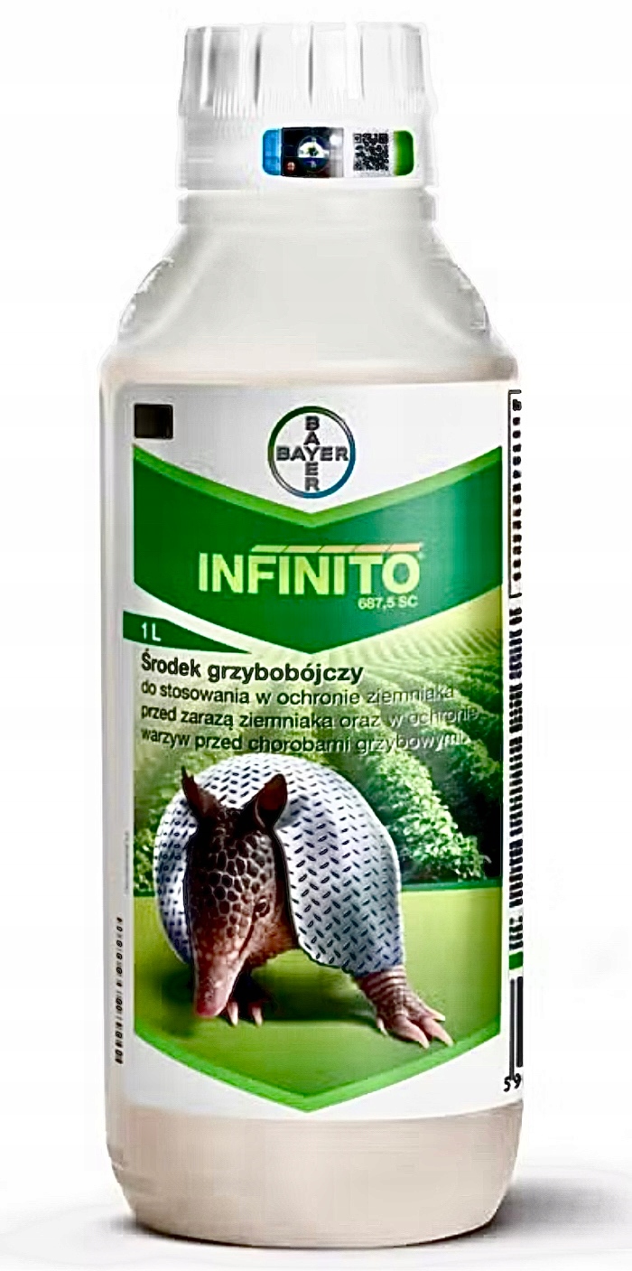 Fungicyd Infinito 687,5 Sc ochrona ziemniaków, ogórków, cebuli i czosnku