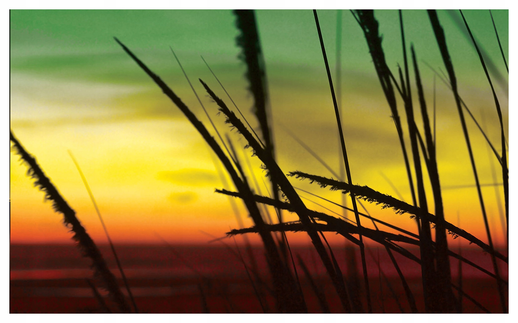 Vliesová fototapeta Západ slunce tráva příroda klid 300x210 lepidlo