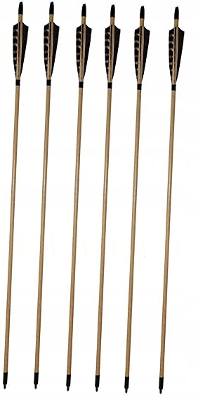 Dřevěné šípy, tradiční přírodní peří, dřevo