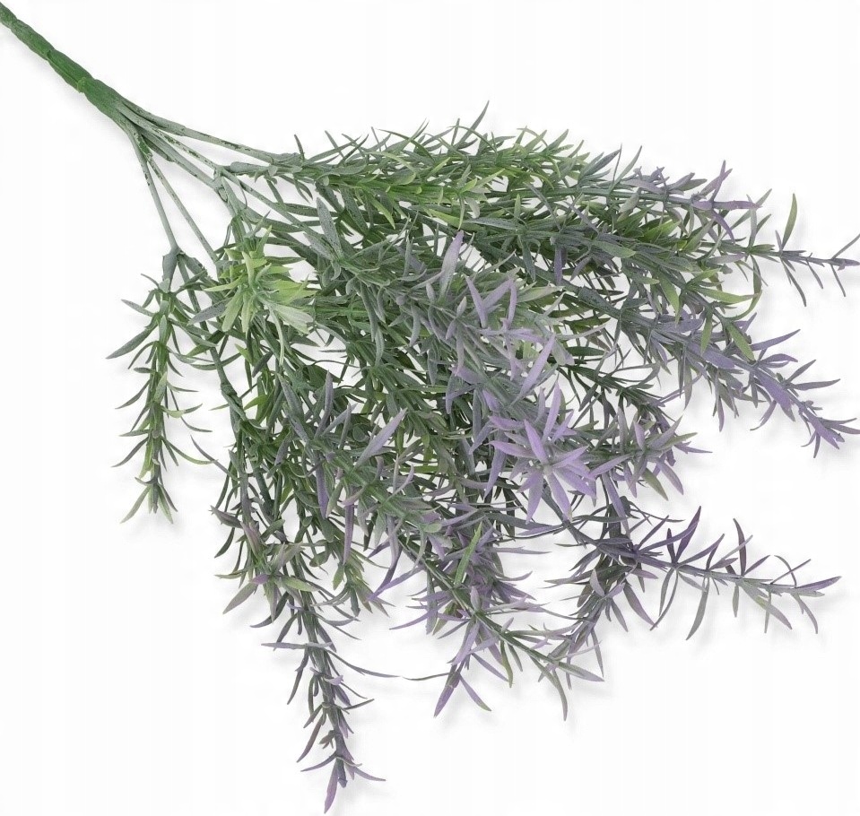 

Bukiet Asparagus X 7 Sztuczne Kwiaty 512p-Nie