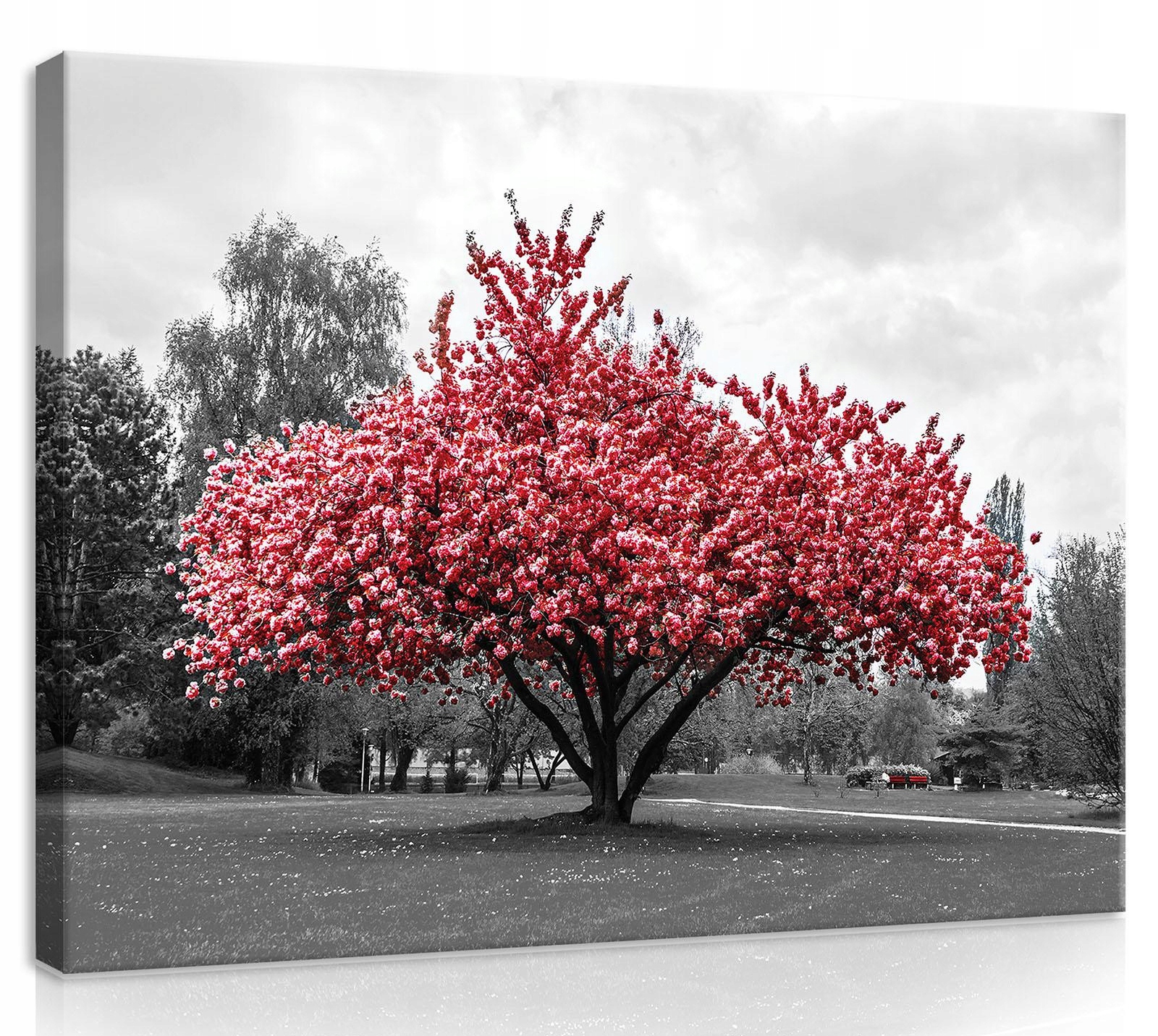 Obraz Na Plátně Canvas 70x50 Červené Dřevo