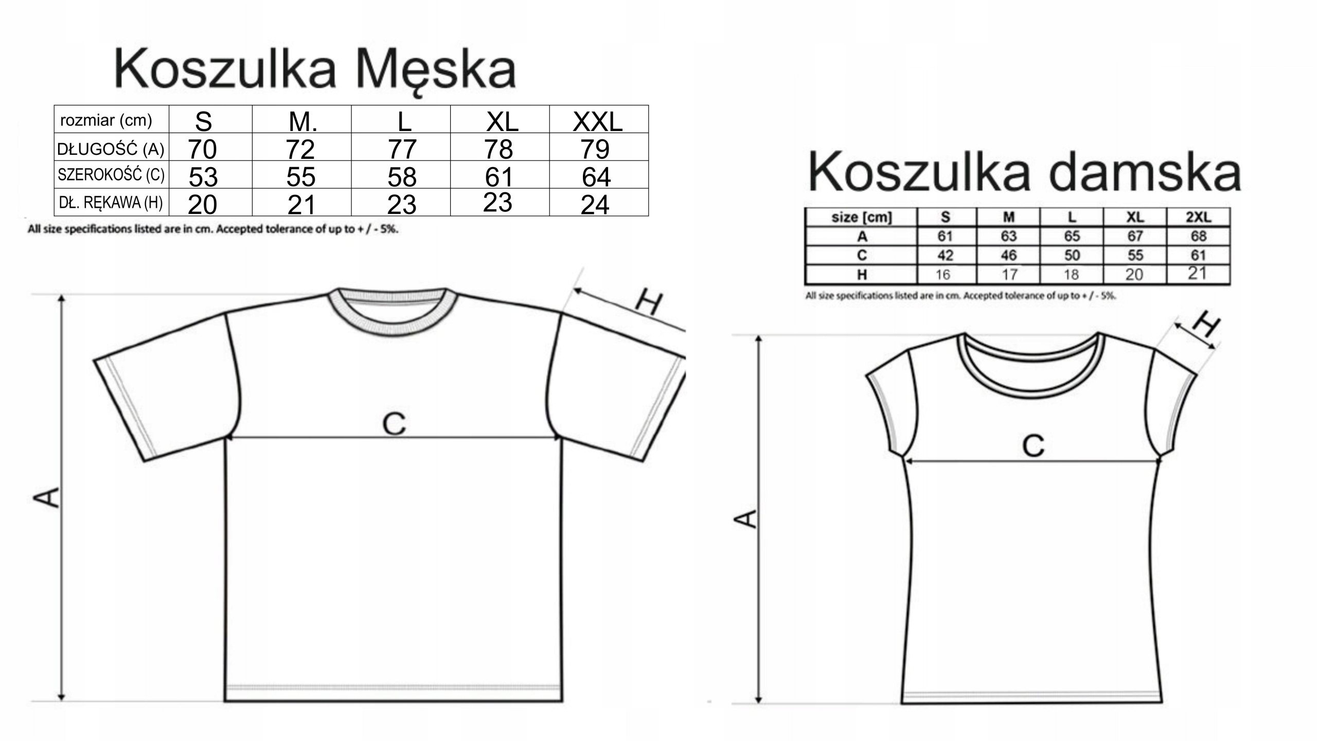 KOSZULKI NA ROCZEK DLA RODZINY BODY Z IMIENIEM Marka inna