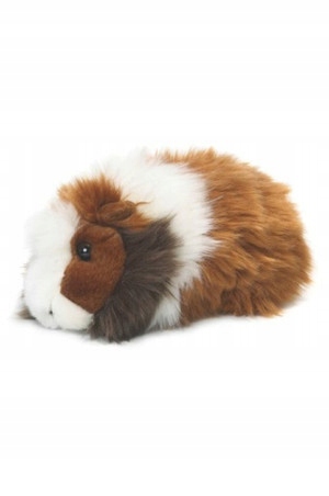 

Świnka morska 19cm Wwf