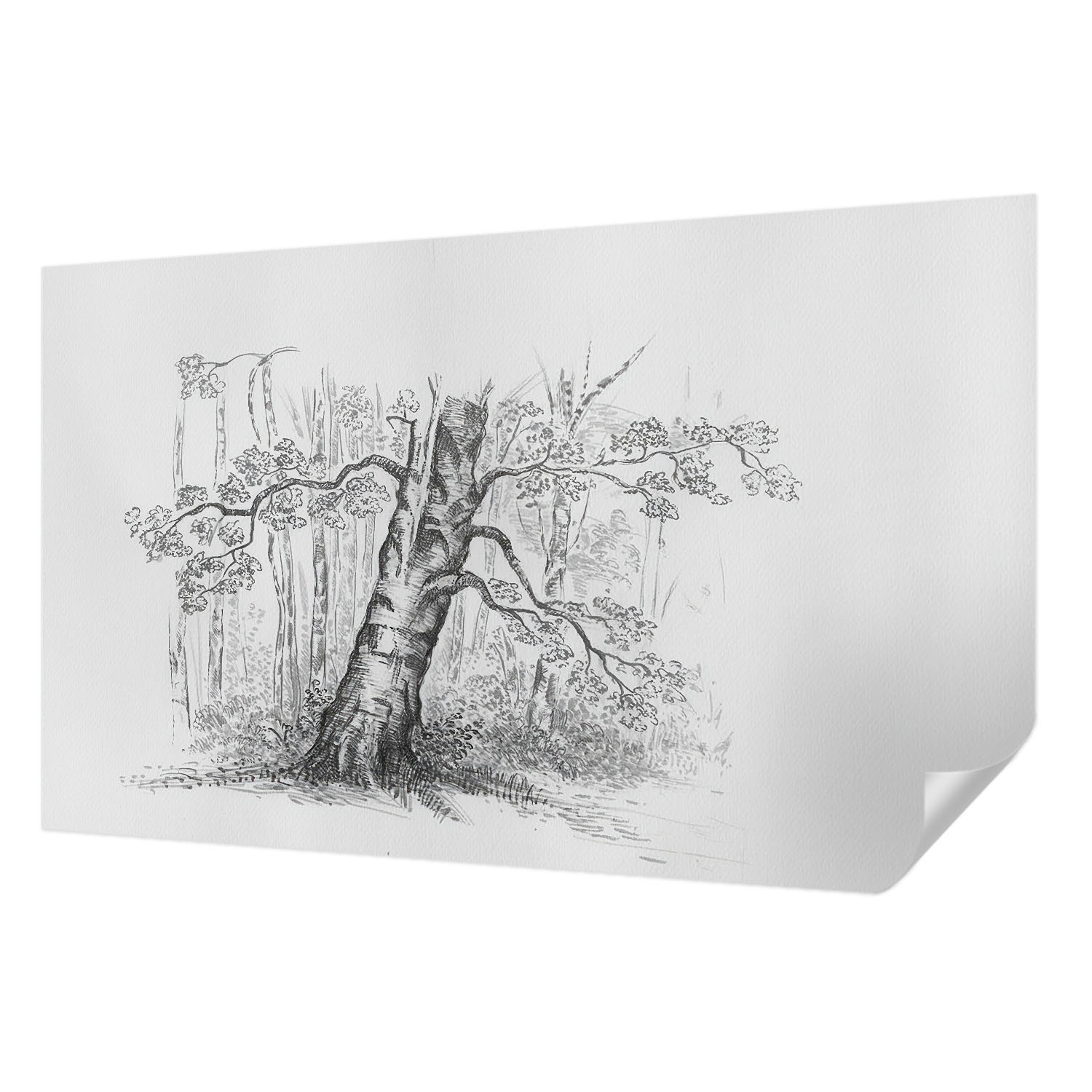 Fototapeta Samolepicí Trvalá dekorace domu Lesní strom 416x254 cm