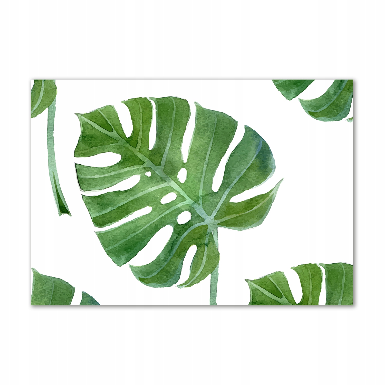 

Foto obraz szkło hartowane Monstera 100x70