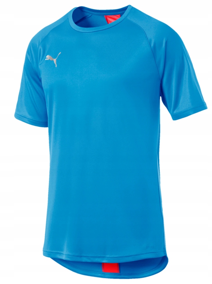 

Dry Cell ! Koszulka T-shirt Puma ftblNXT Shirt L