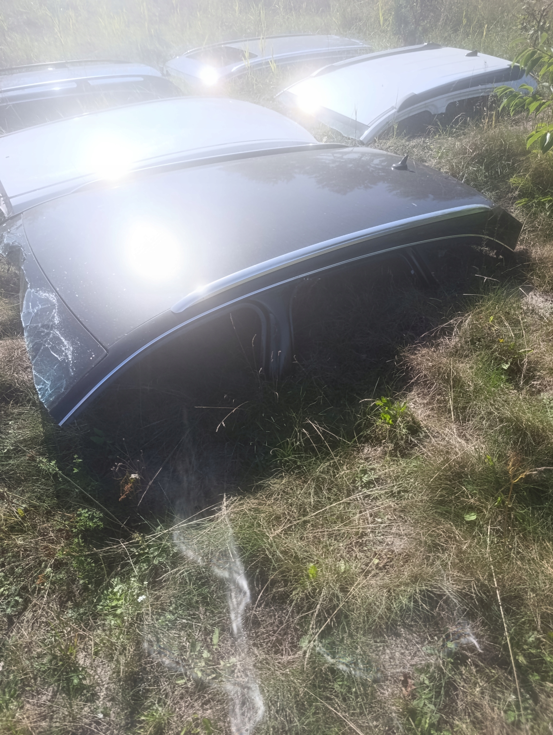 dach audi a4 b8 kombi LZ7L