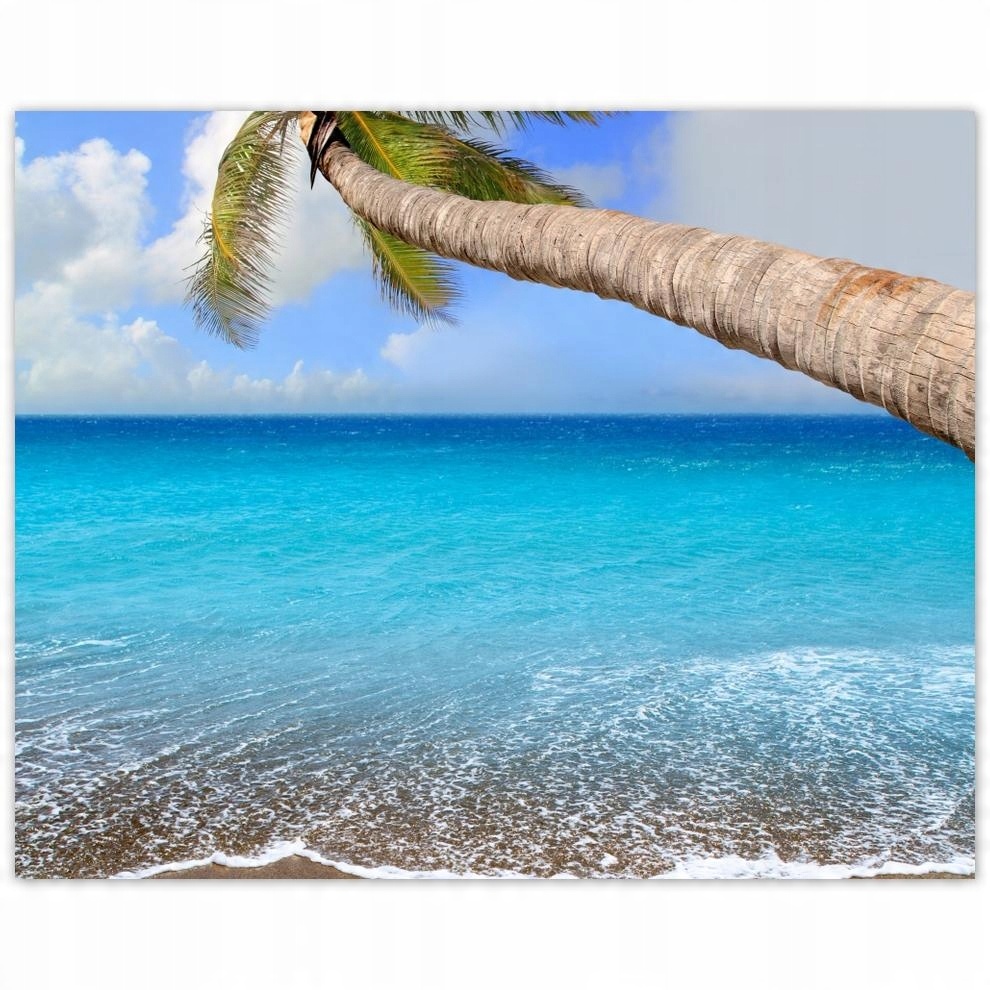 

Plakat 50x40 Palma nad oceanem