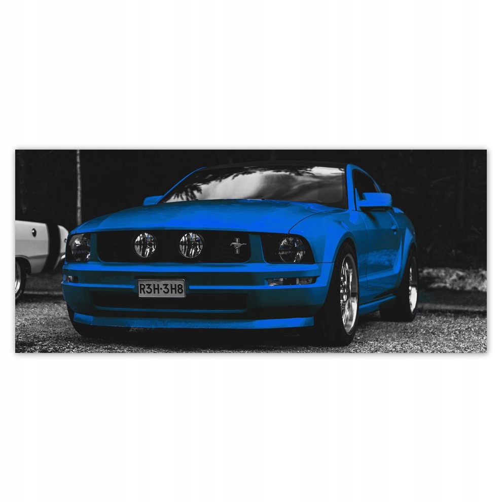 

Fototapety flizelina 211x91 Ford Mustang